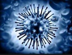 鼎点品牌世卫宣布将流感大流行警戒级别升至6级